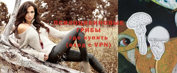 метамфетамин Аркадак