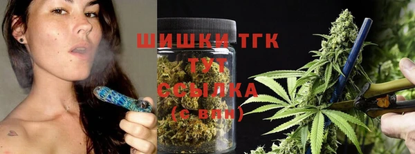 PSILOCYBIN Баксан