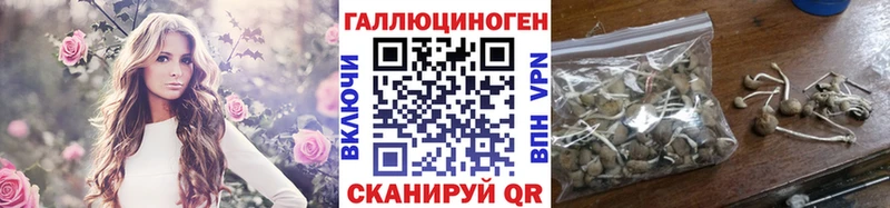 Псилоцибиновые грибы Magic Shrooms  Онега 